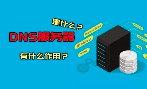 DNS服务器